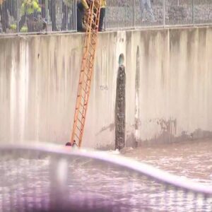 Woman rescued in L.A. River