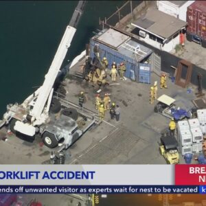 Worker killed in Port of Los Angeles forklift accident