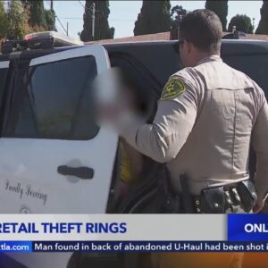 L.A. County Sheriff's Department arrest 16 suspects in retail theft sting