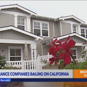2 more insurance companies announce plans to leave California