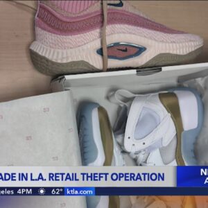 8 arrested, including 6 juveniles in L.A. organized retail theft bust