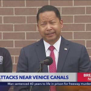Arrest made in Venice Canal attacks - Full news conference