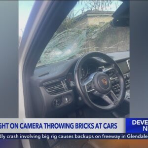 Brick-throwing vandal caught on camera smashing windshields