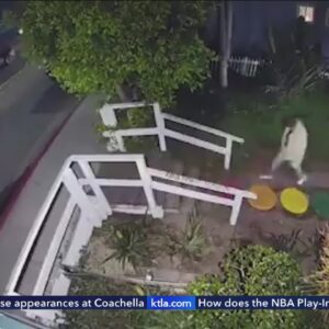 Charges filed in Venice canal attacks