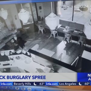 Eagle Rock burglary spree