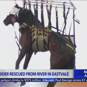 Horse and rider rescued from river in Riverside County