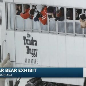 Ice Bear exhibit on display at Santa Barbara Maritime Museum