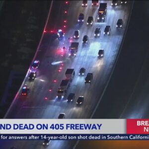 Infant dead, girl hospitalized after crash on L.A. freeway