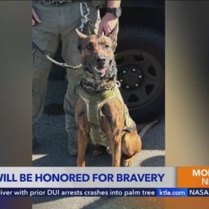 Los Angeles County Sheriff’s Department honoring K9 for bravery 