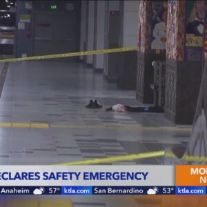 Los Angeles Metro official says she's 'afraid ... will not ride'
