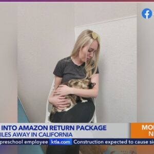 Couple accidentally ships cat from Utah to Southern California in Amazon return package