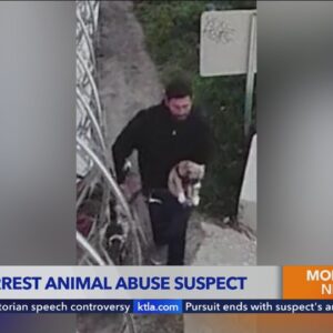 Man caught on video abusing puppy arrested in Orange County 