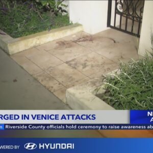 Man charged in 'heinous sexual assaults' in Venice