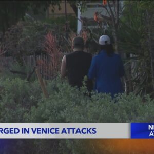 Man charged in violent Venice attacks