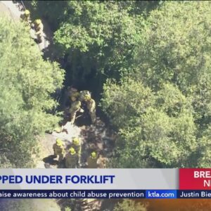 Man crushed to death by forklift in Bel Air