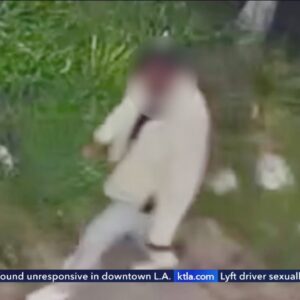 Police searching for violent suspect in Venice