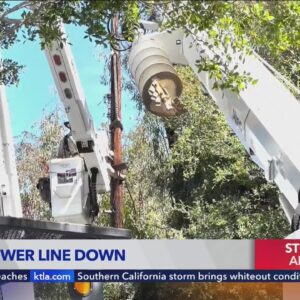 Power line and tree come down in Pasadena