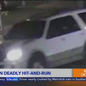 Los Angeles police offering $50,000 for information on hit-and-run suspect