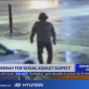 Search underway for violent sexual assault suspect