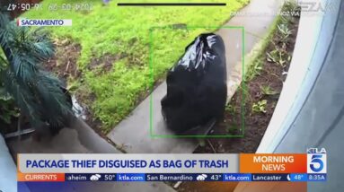Thief disguises self as bag of trash