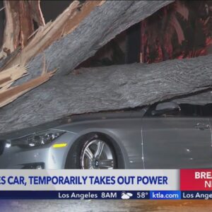 Tree crashes down onto car, knocks out power in Encino