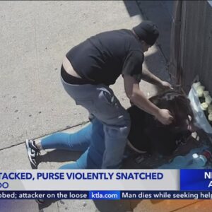 Violent purse snatching caught on camera