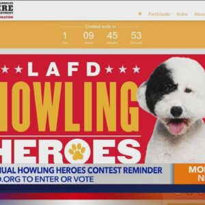 Your dog could be the Los Angeles Fire Department’s next mascot