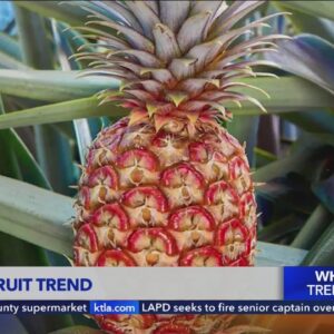 $400 pineapple being sold at Southern California produce retailer