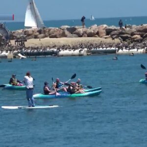 Safe Boating Week comes with advice in the crowded Santa Barbara harbor