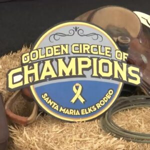 Elks Rodeo 'Golden Circle of Champions' program helping raise awareness and funds for kids ...