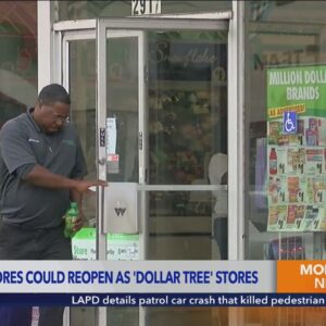 Dozens of shuttered 99 Cents Only stores could reopen as Dollar Tree