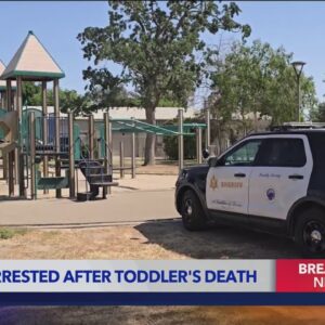 Father arrested after toddler dies at SoCal park