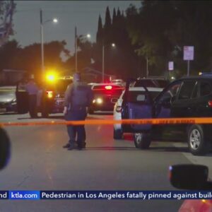 Grandmother murdered in Compton drive-by shooting