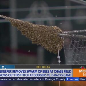 Beekeeper becomes hero after Dodgers-Diamondbacks game delayed due to massive bee colony