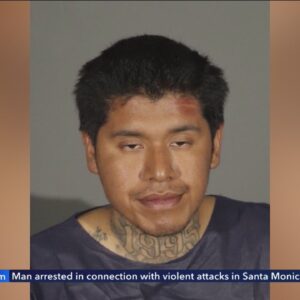 Man arrested in connection with violent attacks in Santa Monica