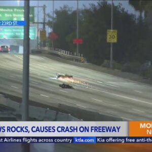 Man throws rocks onto 110 Freeway, causing motorcycle crash, flat tires