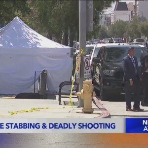Metro line stabbing and deadly shooting