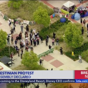 Pro-Palestinian demonstrators at UC Irvine occupy building