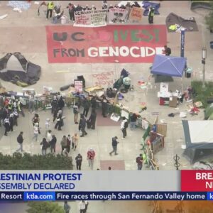 Pro-Palestinian demonstrators overrun UCI building, set up encampment