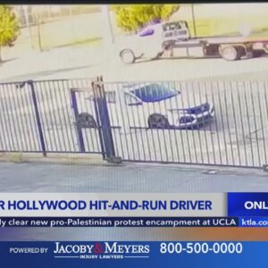 Search for hit-and-run driver that ran down elderly woman in Hollywood