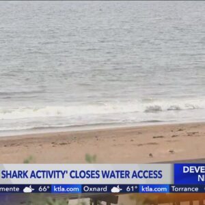 Shark activity closes beaches in San Clemente