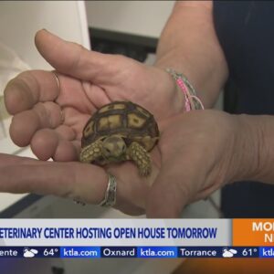 SoCal exotic animal veterinary center holding open house this weekend