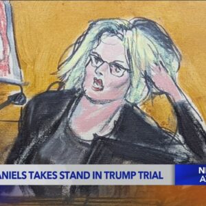 Stormy Daniels takes stand in Trump trial