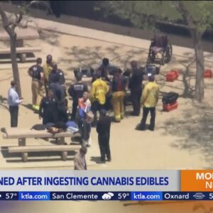 Teens sickened after ingesting cannabis edibles on field trip