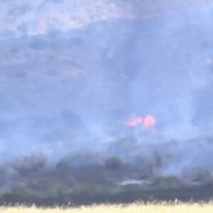 Fire teams on the scene of 632-acre grass fire southeast of Cuyama Tuesday afternoon