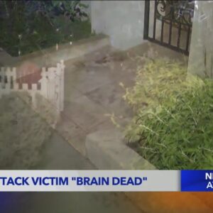 Venice attack victim declared brain dead