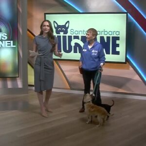 Santa Barbara Humane introduces The Morning News to a few furry friends
