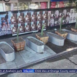 Planters to deter homeless encampments in Hollywood forced to be removed