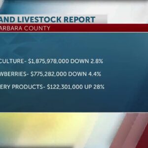 Santa Barbara County released 2023 Agriculture Crop and Livestock Report Tuesday
