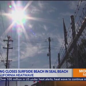 Shark sighting closes Surfside Beach in Seal Beach as heat wave rages on